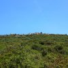 Ustrine - photo 4