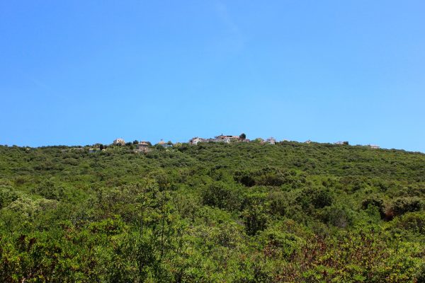 Ustrine - photo 4