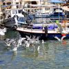 Valun - photo 4