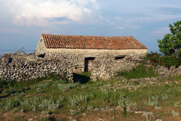 Verin - photo 2