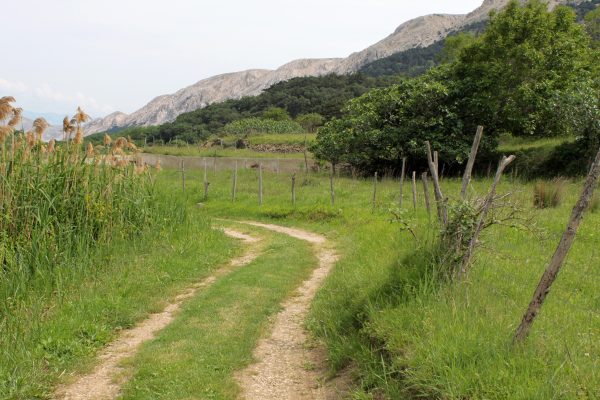 Batomalj - photo 4