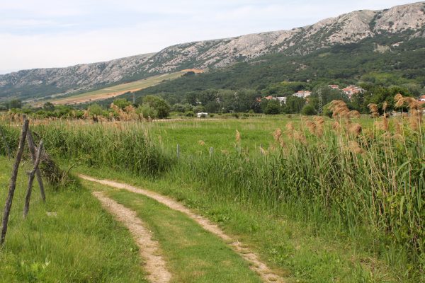 Batomalj - photo 7