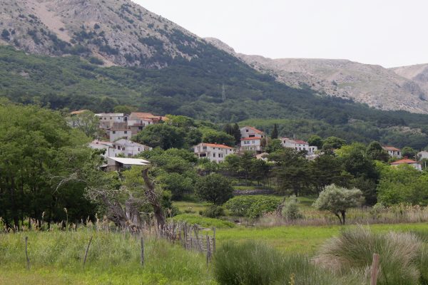 Batomalj - photo 8