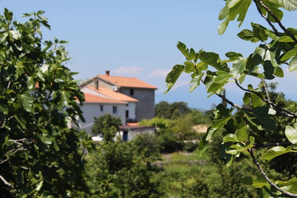 Brzac - photo 6