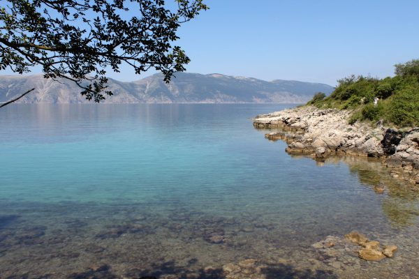 Linardići - photo 17