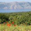 Linardići - photo 2