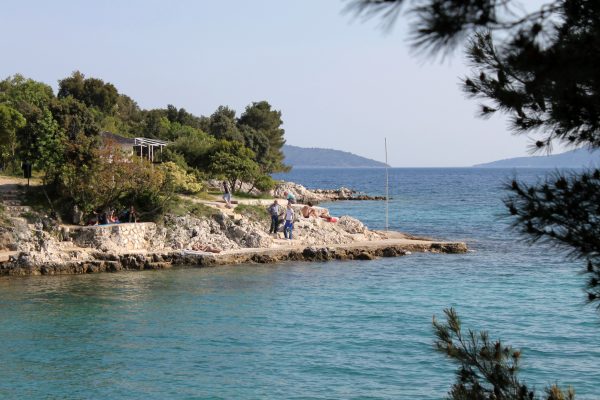 Pinezići