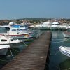 Šilo - photo 19