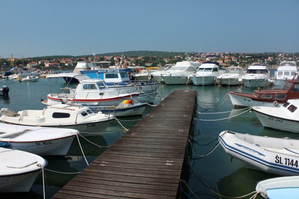 Šilo - photo 19
