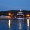 Soline - photo 5