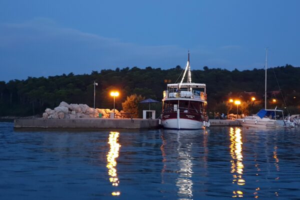 Soline - photo 5