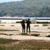 Soline - photo 7