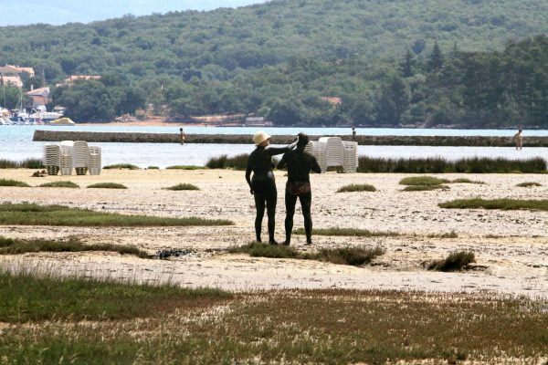 Soline - photo 7
