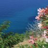 Stara Baška - photo 19