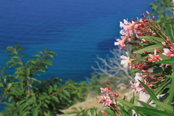 Stara Baška - photo 19