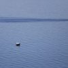 Stara Baška - photo 25