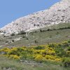 Stara Baška - photo 7