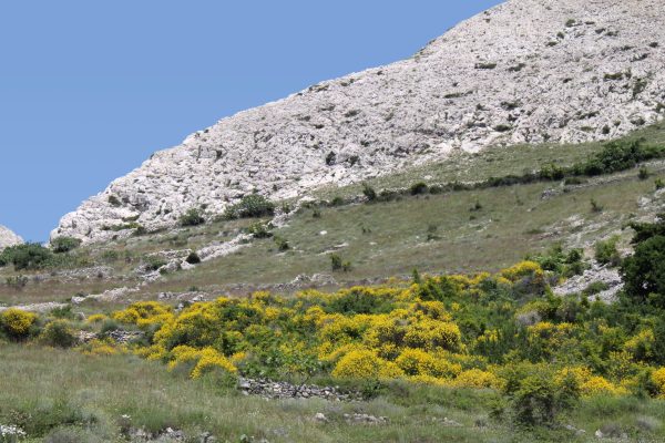 Stara Baška - photo 7