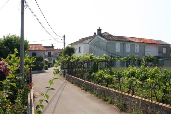 Tribulje - photo 4