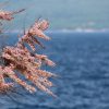 Vrbnik - photo 30