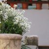 Vrbnik - photo 32