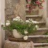 Vrbnik - photo 7