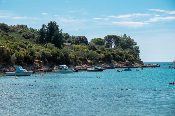 Artatore - photo 4