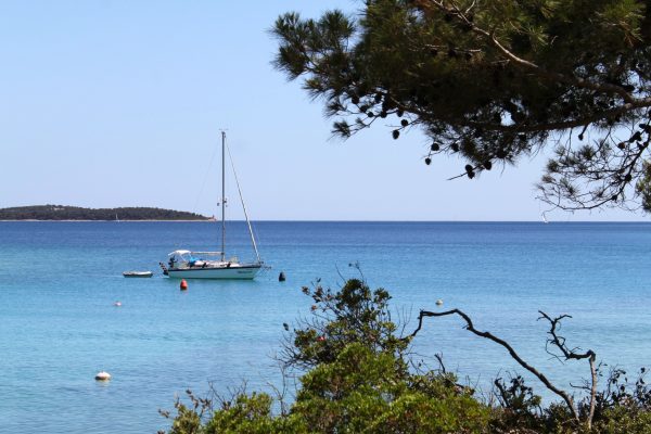Artatore - photo 8