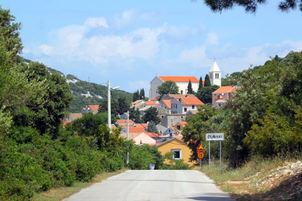 Ćunski - photo 2
