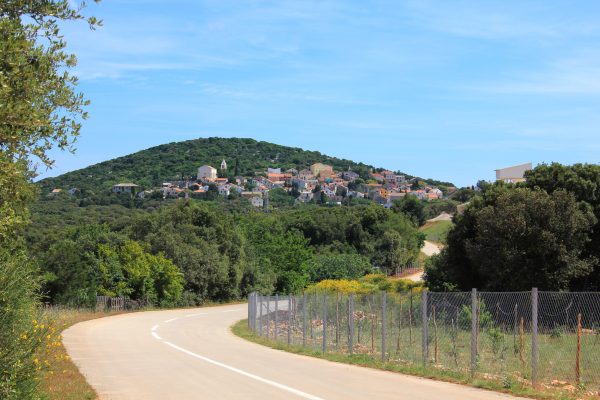 Ćunski - photo 3