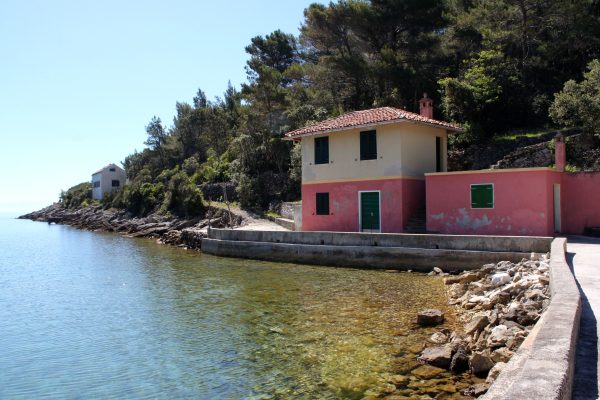 Lučica - photo 2
