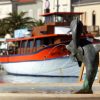 Mali Lošinj - photo 13