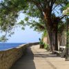 Osor - photo 19