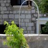 Osor - photo 26