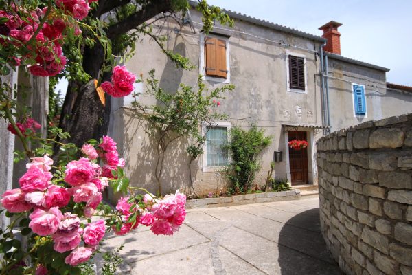 Osor - photo 31