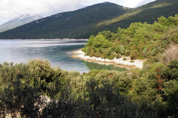 Studenčić - photo 2