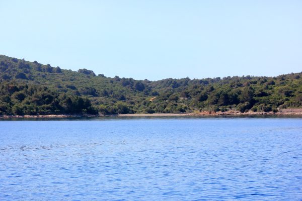 Studenčić - photo 7