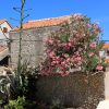 Susak - photo 11