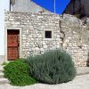 Susak - photo 18