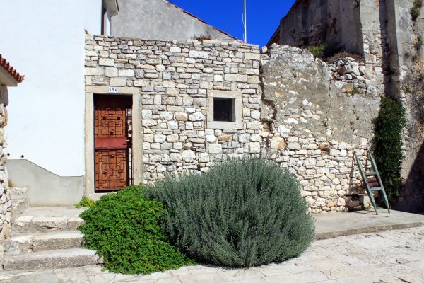 Susak - photo 18