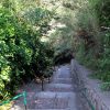 Susak - photo 22