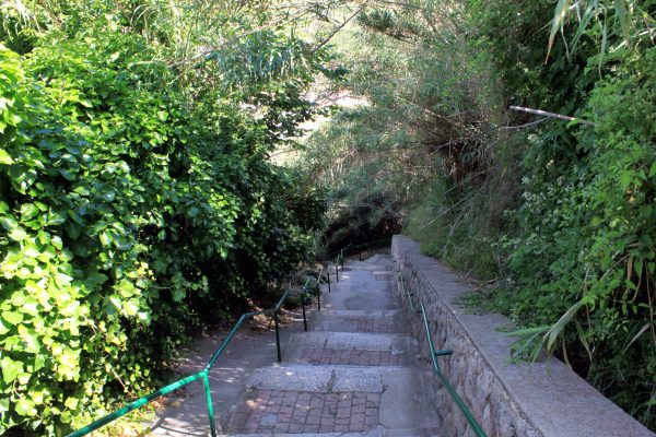 Susak - photo 22