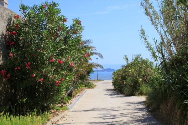 Susak - photo 23