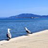 Susak - photo 26