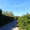 Susak - photo 30