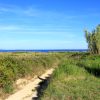 Susak - photo 32