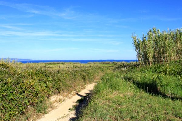 Susak - photo 32