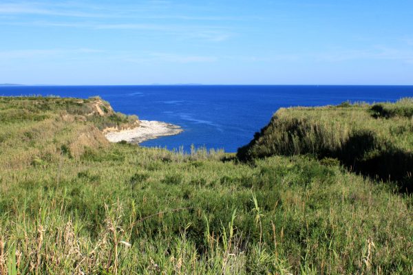 Susak - photo 34