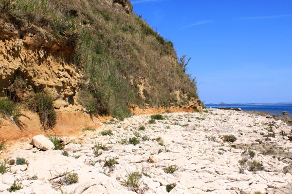 Susak - photo 36