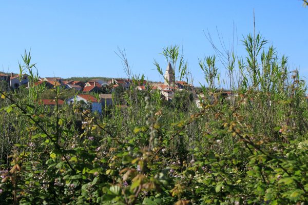 Susak - photo 39